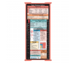 WhiteCoat Clipboard® Trifold - Coral Flight Medic Edition